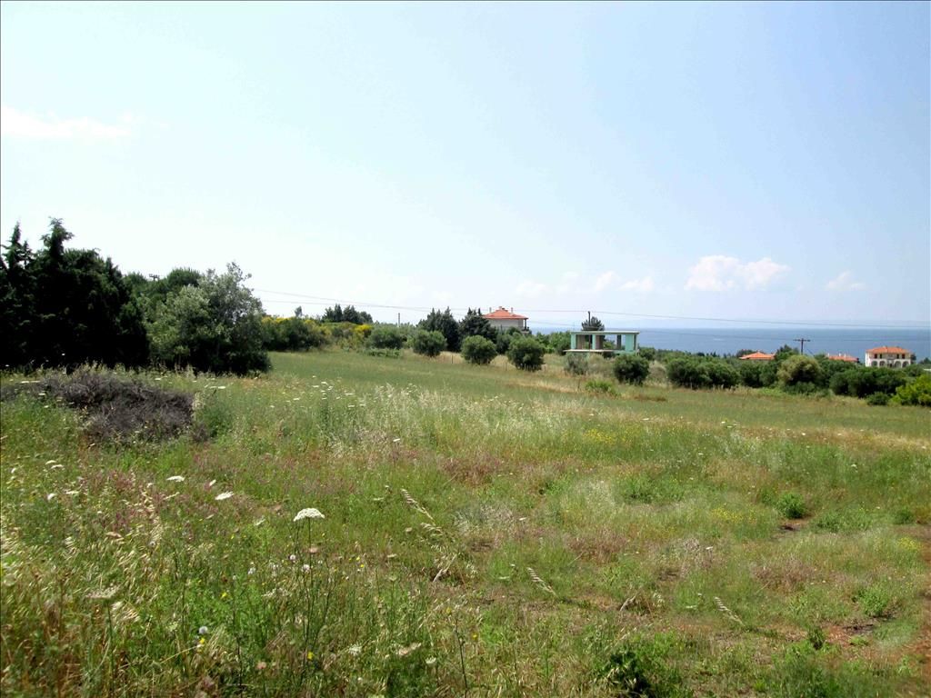 Land in Sithonia, Greece, 6 534 sq.m - picture 1