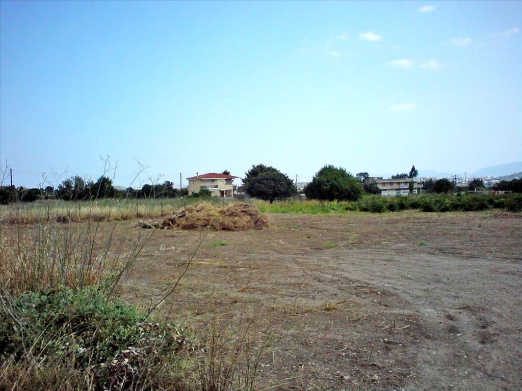 Land in Paiania, Greece, 2 072 sq.m - picture 1