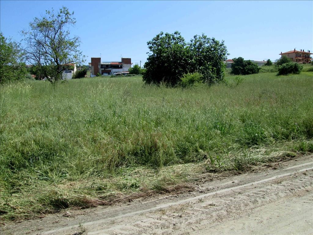 Land in Sithonia, Greece, 980 sq.m - picture 1