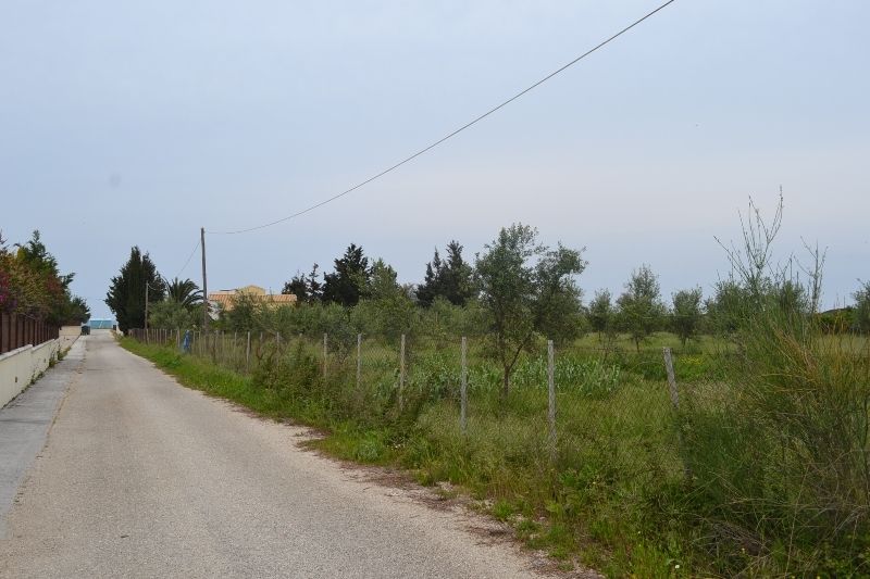 Land in Corfu, Greece, 4 000 m² - picture 1
