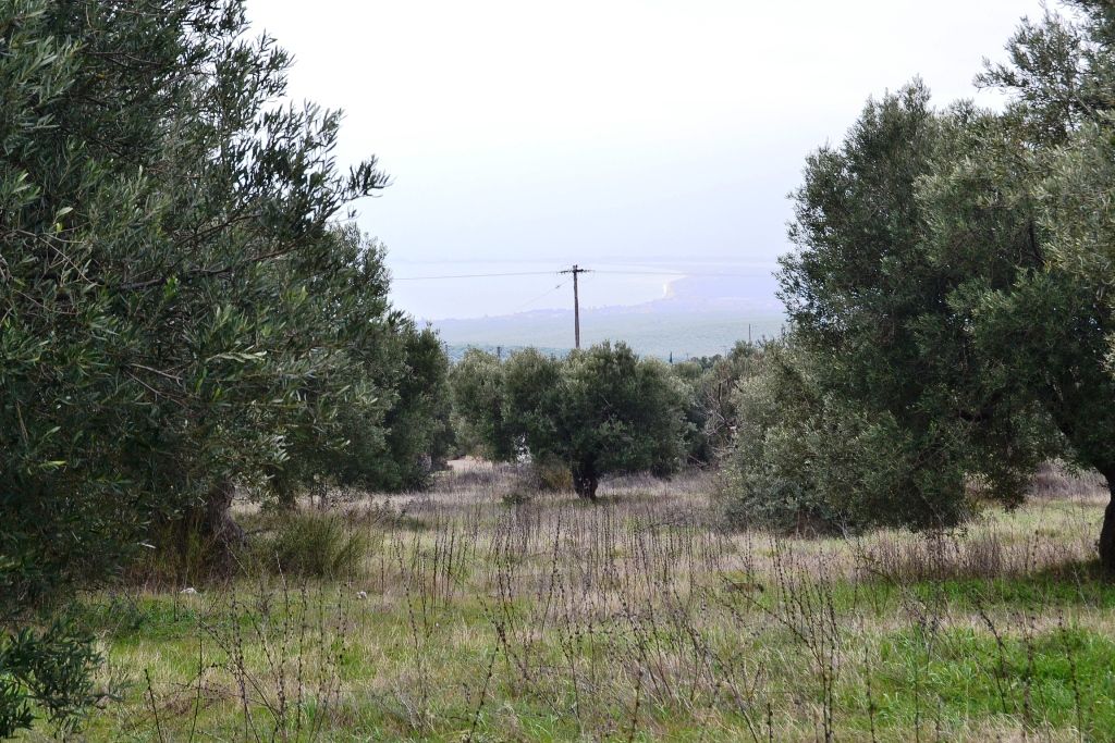 Grundstück in Poligiros, Griechenland, 34 000 m2 - Foto 1