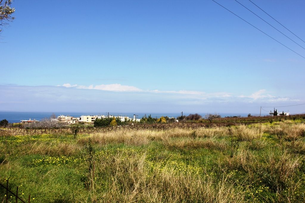 Land in Rethymno, Greece, 5 400 sq.m - picture 1