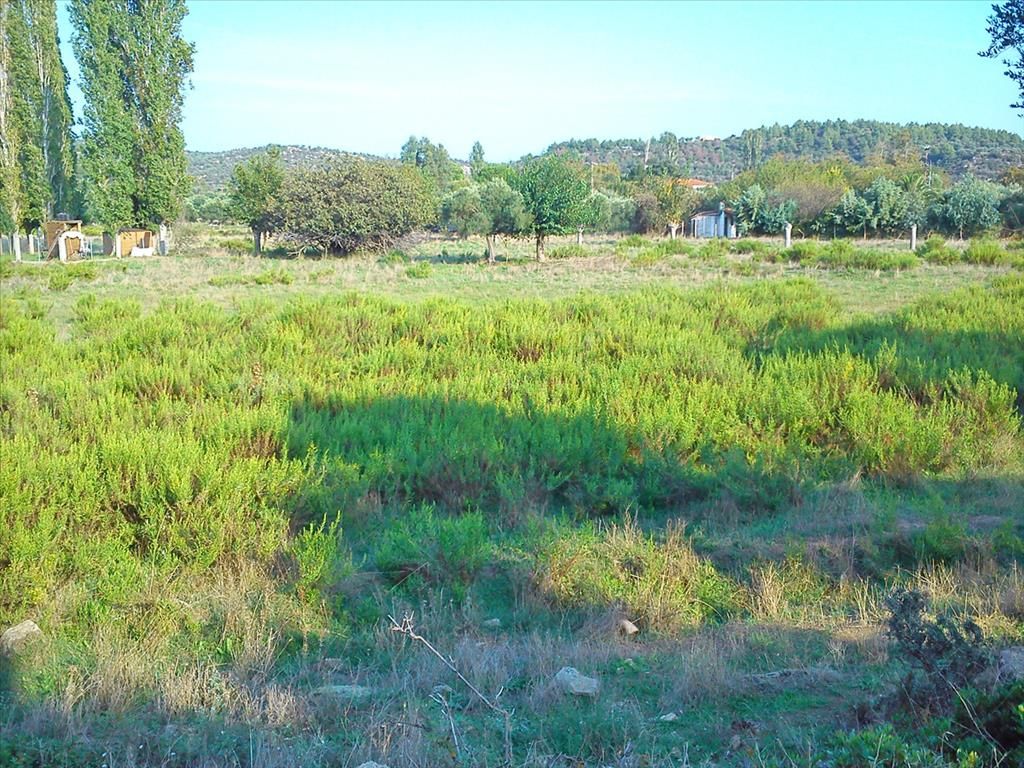 Land in Sithonia, Greece, 3 200 sq.m - picture 1