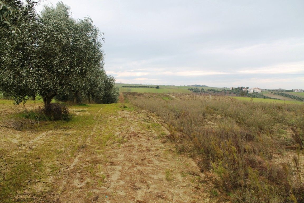Land in Thessaloniki, Greece, 7 350 sq.m - picture 1