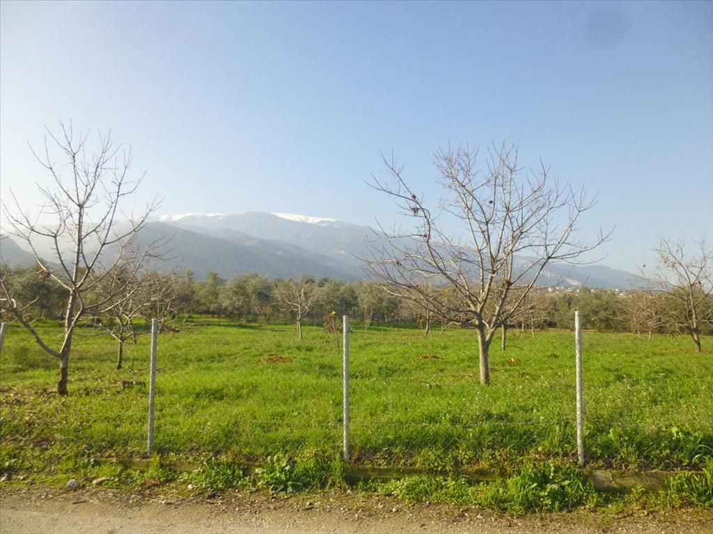 Land in Pieria, Greece, 10 000 sq.m - picture 1