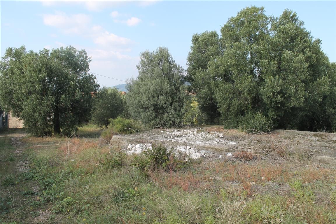 Land in Sithonia, Greece, 3 659 sq.m - picture 1