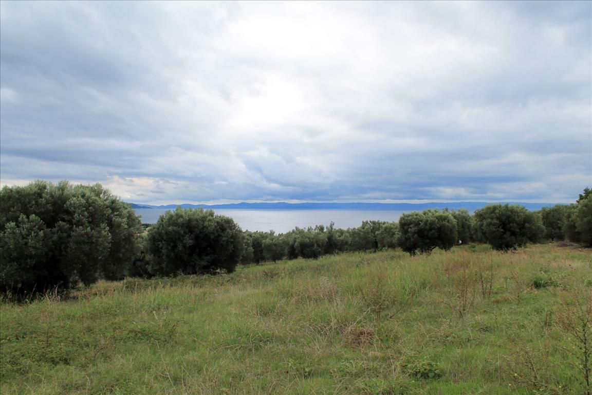 Land in Sithonia, Greece, 16 500 sq.m - picture 1