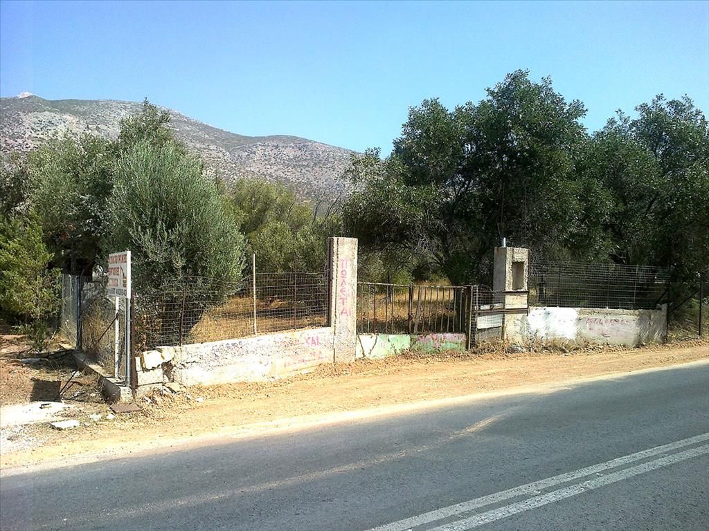 Land in Lagonisi, Greece, 397 sq.m - picture 1