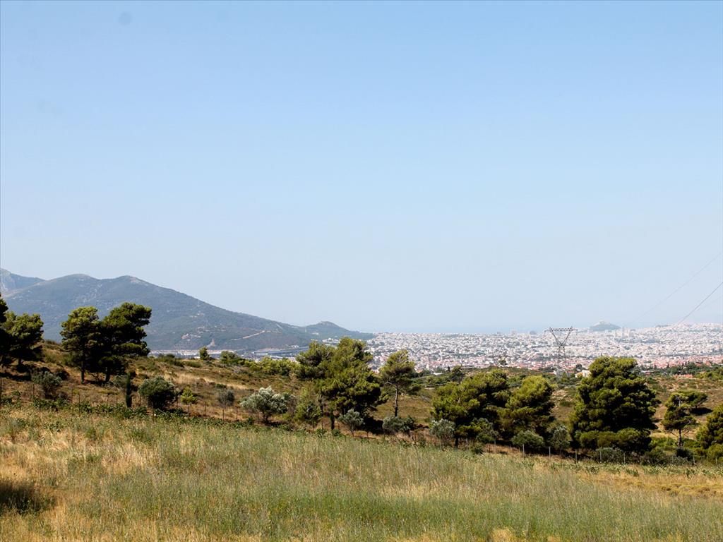 Land in Nea Makri, Greece, 22 000 sq.m - picture 1