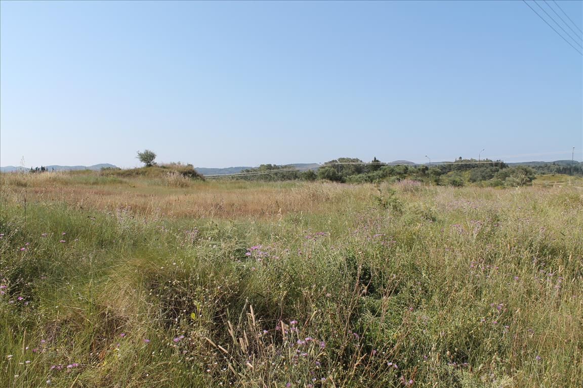 Land in Syvota, Greece, 30 000 sq.m - picture 1
