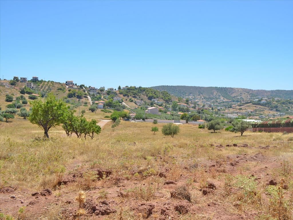 Land in Lagonisi, Greece, 13 500 sq.m - picture 1