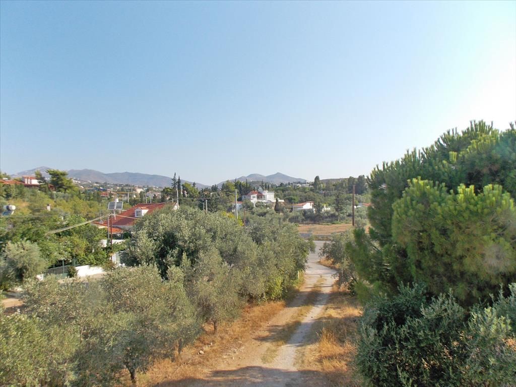 Land in Nea Makri, Greece, 3 000 sq.m - picture 1