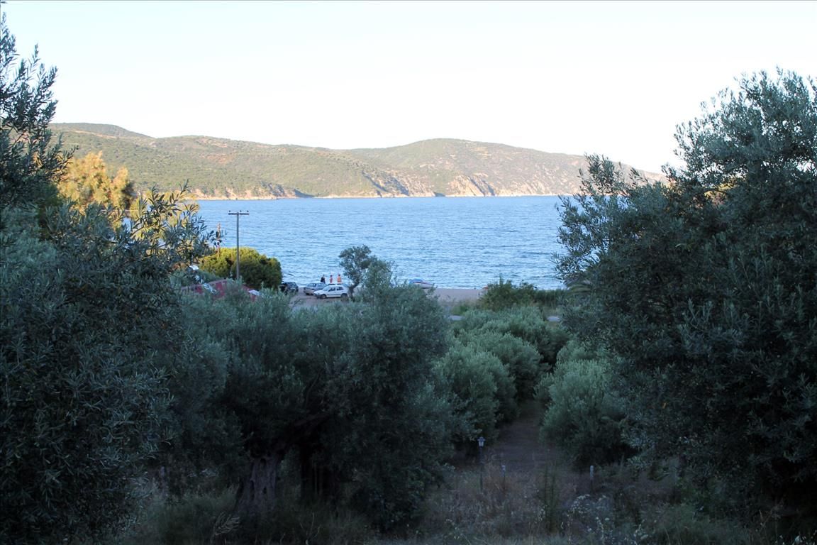 Land in Sithonia, Greece, 6 450 sq.m - picture 1