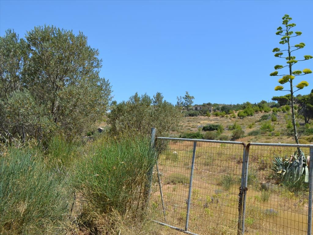 Land in Lagonisi, Greece, 7 700 sq.m - picture 1