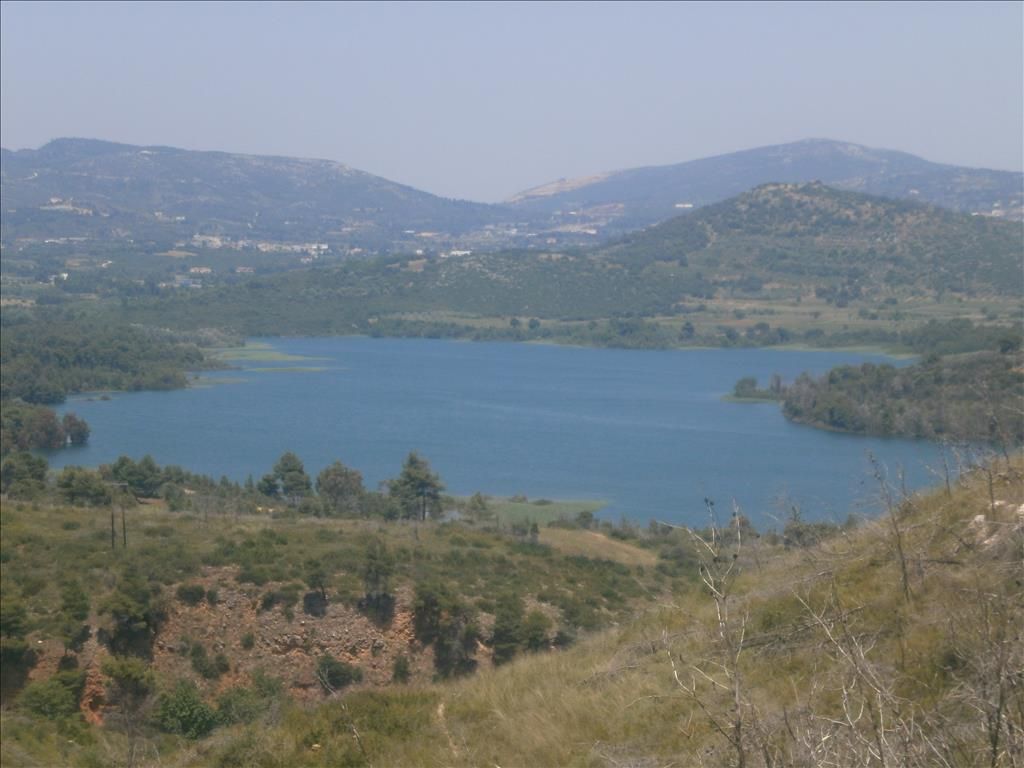 Land in Attica, Greece, 4 000 sq.m - picture 1