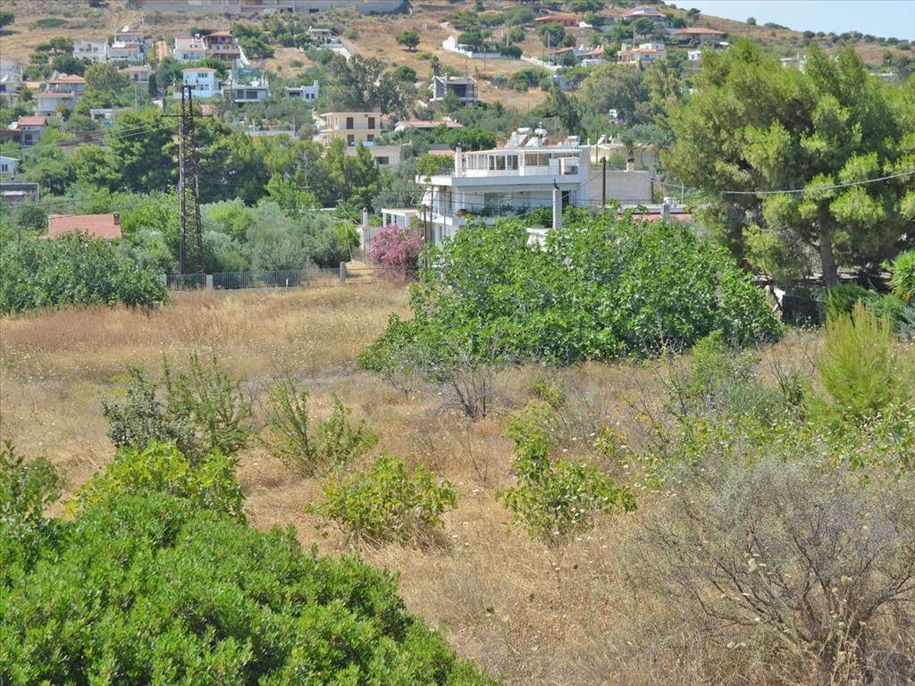 Land in Lagonisi, Greece, 7 000 sq.m - picture 1