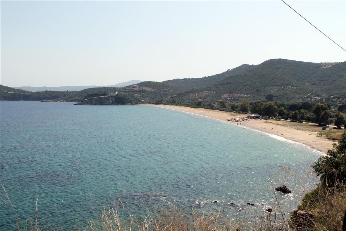 Land in Sithonia, Greece, 8 620 sq.m - picture 1