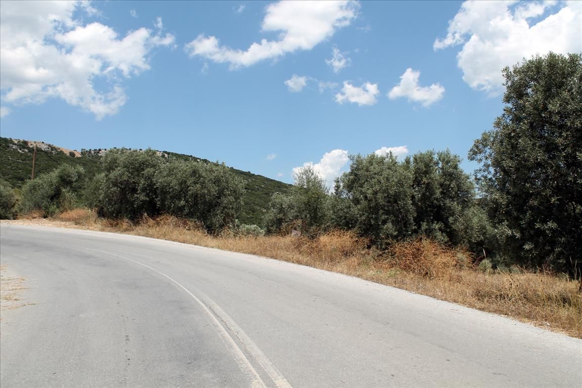 Land in Sithonia, Greece, 5 568 sq.m - picture 1
