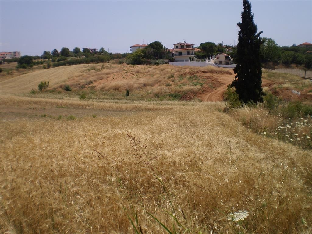 Land in Sani, Greece, 4 000 sq.m - picture 1