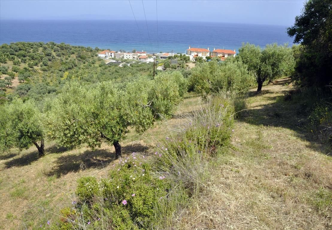 Land in Chalkidiki, Greece, 3 750 sq.m - picture 1