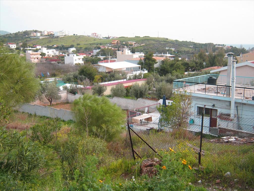 Land in Boiothia, Greece, 450 sq.m - picture 1