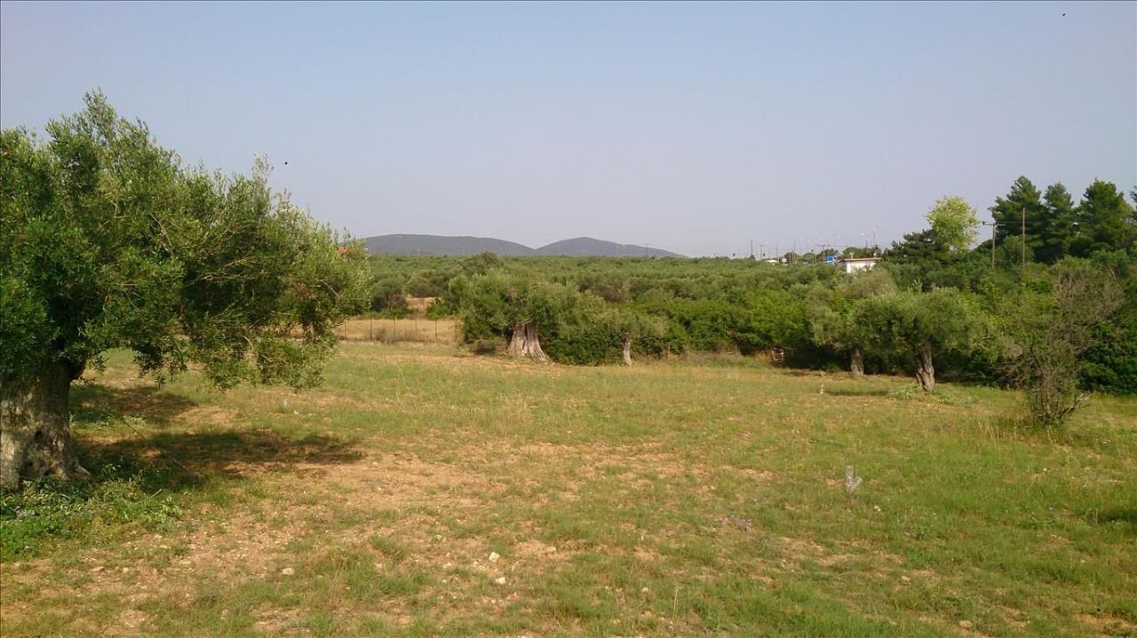 Terreno en Sitonia, Grecia, 4 589 m2 - imagen 1