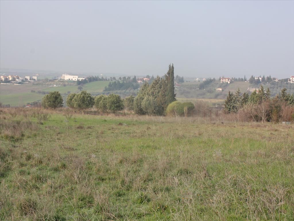 Land in Pella, Greece, 6 000 sq.m - picture 1