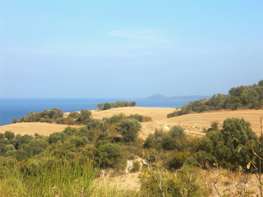 Land on Mount Athos, Greece, 4 000 sq.m - picture 1