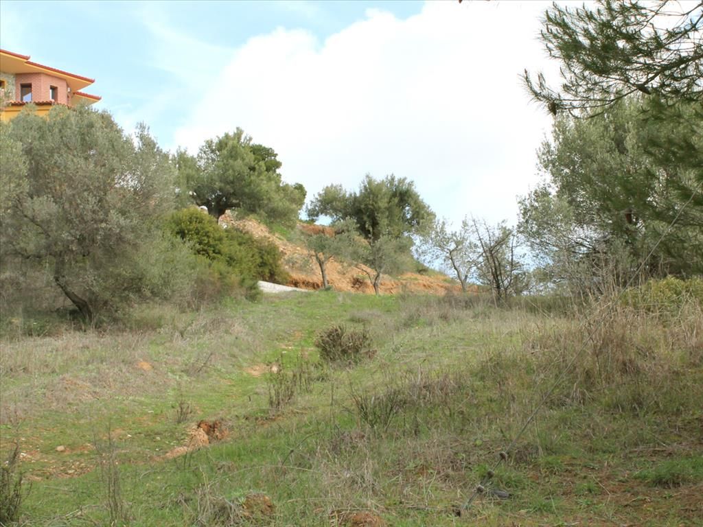Land in Sithonia, Greece, 3 840 sq.m - picture 1