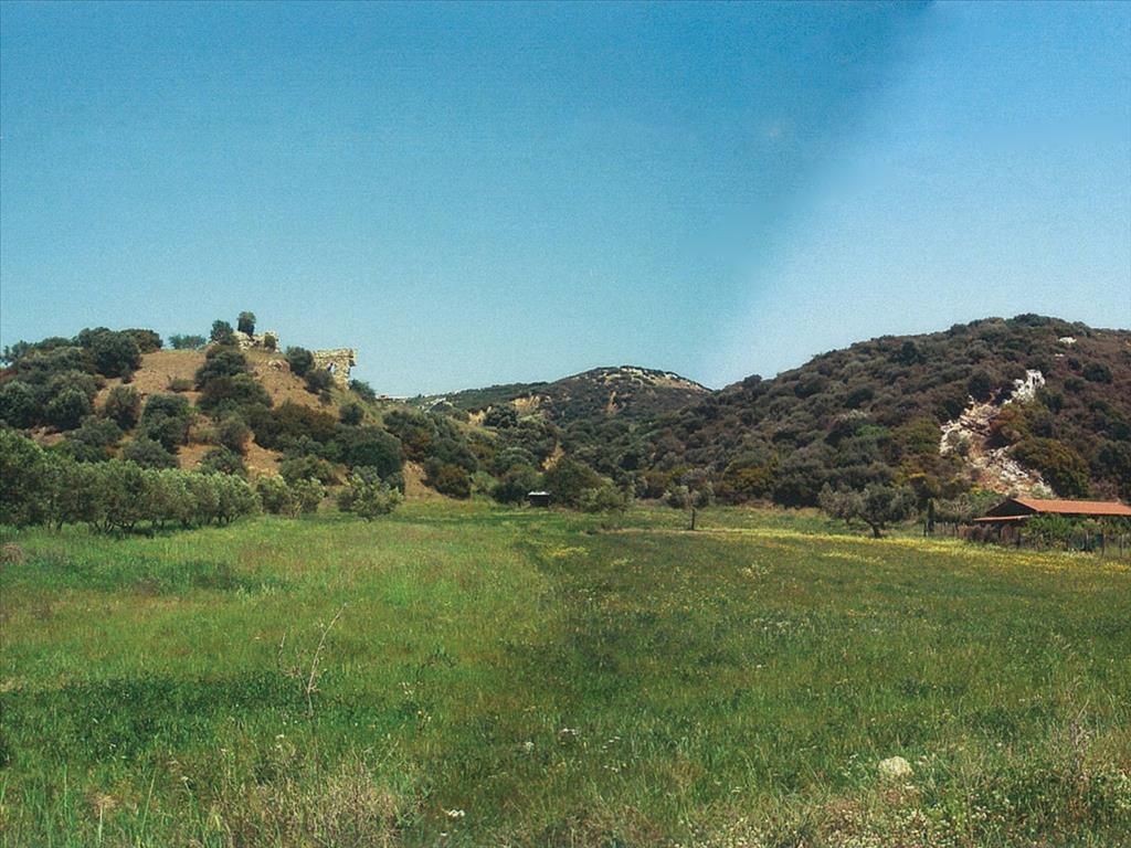Grundstück in Chalkidiki, Griechenland, 7 850 m2 - Foto 1