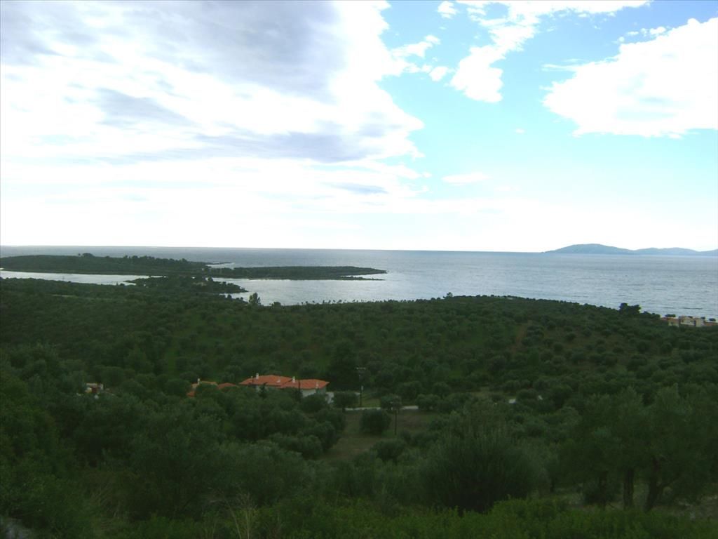 Land in Sithonia, Greece, 16 728 sq.m - picture 1