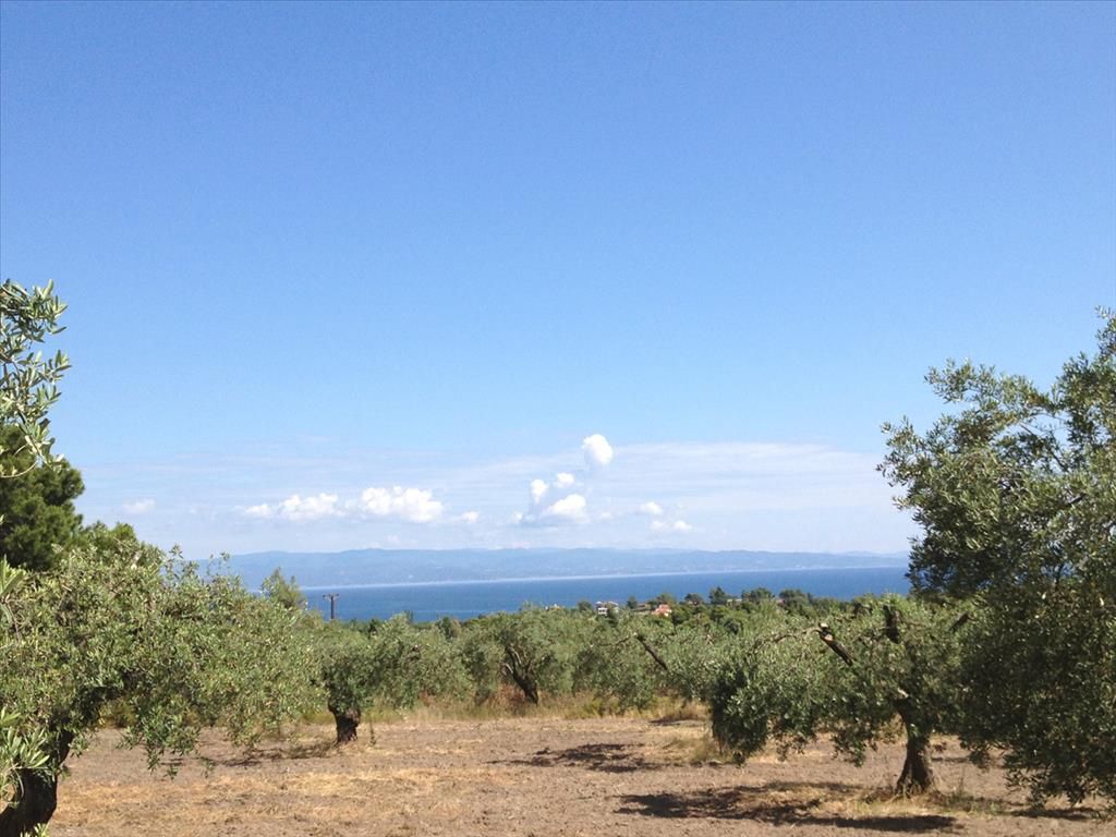 Land in Sithonia, Greece, 12 100 m² - picture 1
