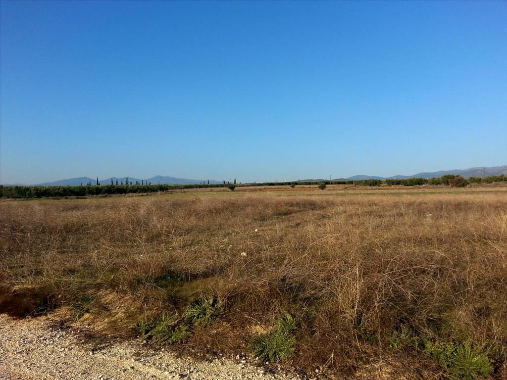Land in Poligiros, Greece, 16 600 sq.m - picture 1