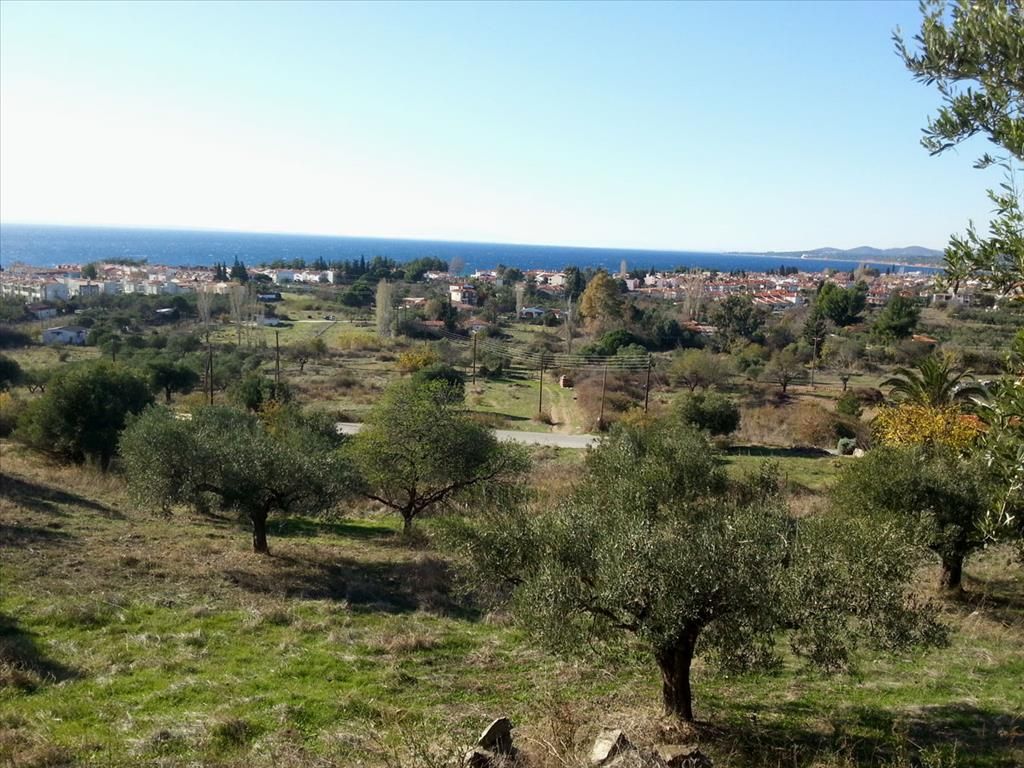 Land in Sithonia, Greece, 5 000 sq.m - picture 1