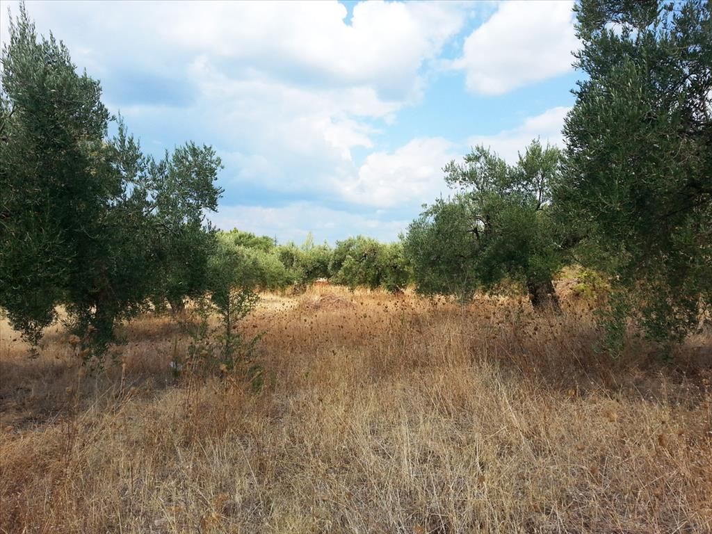 Grundstück in Sithonia, Griechenland, 3 780 m2 - Foto 1