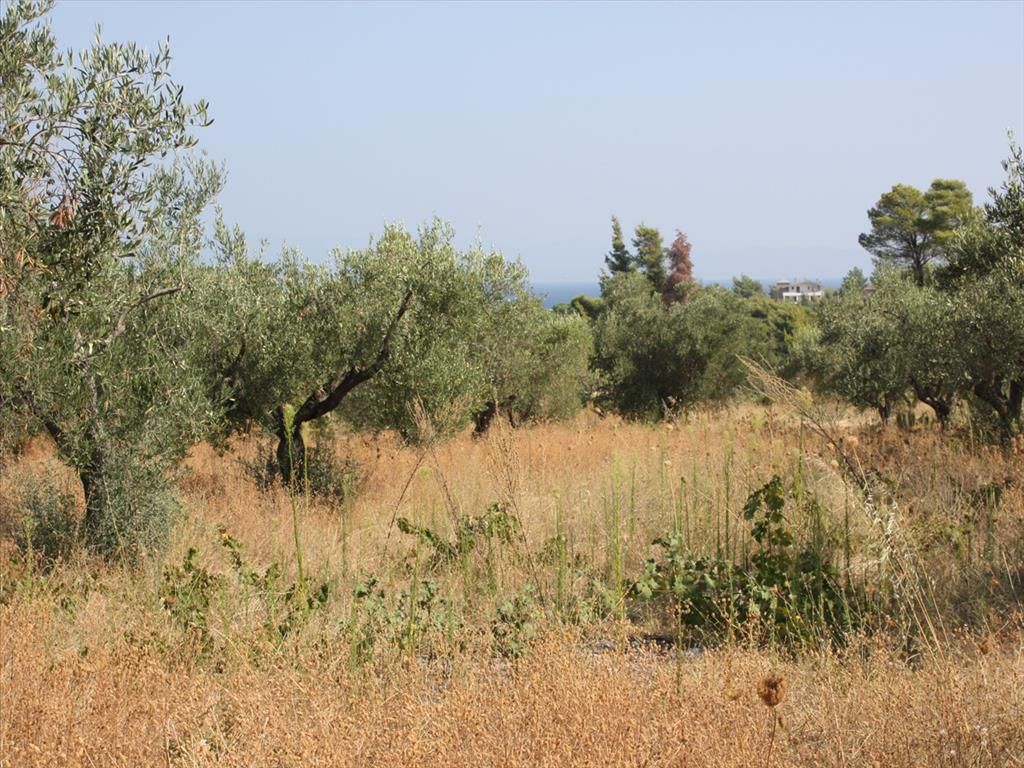 Grundstück in Sithonia, Griechenland, 4 023 m2 - Foto 1