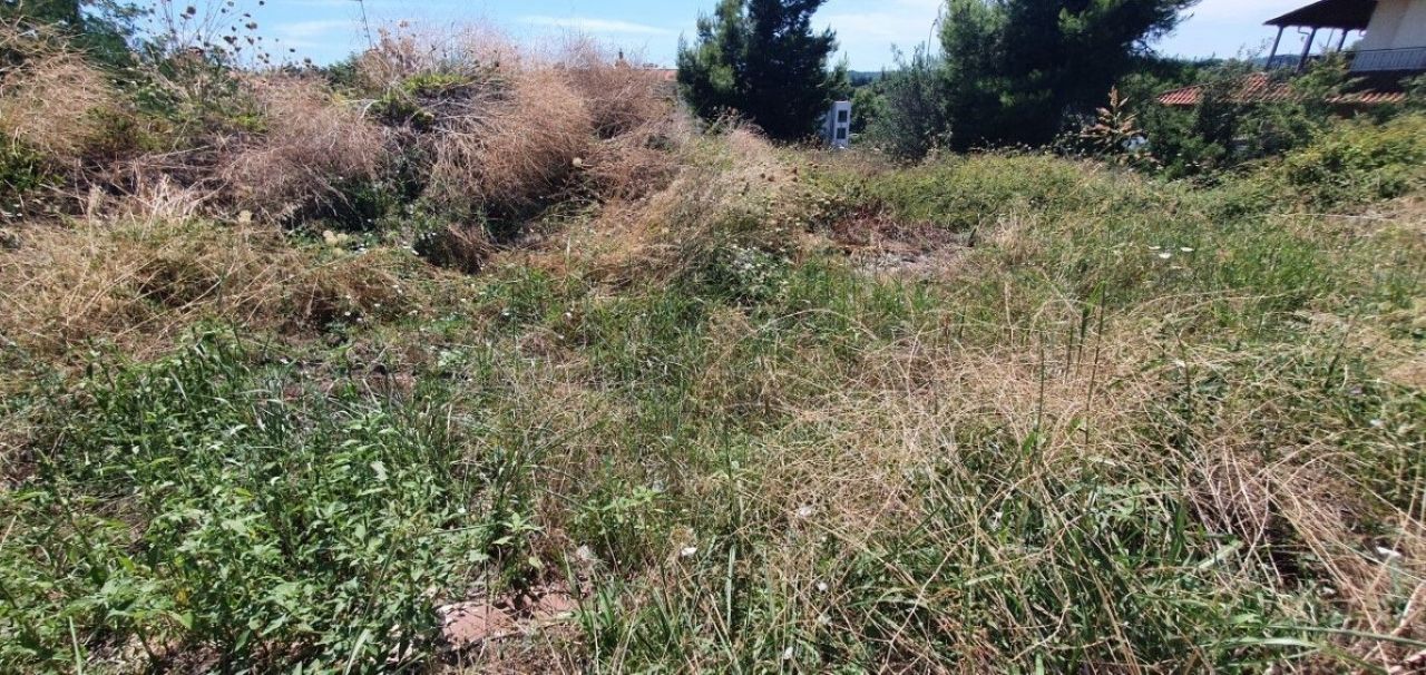 Land in Kassandra, Greece, 1 000 sq.m - picture 1