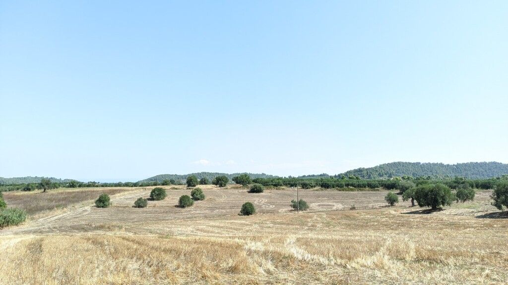 Land in Kassandra, Greece, 12 000 sq.m - picture 1