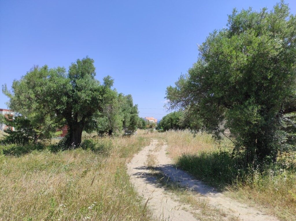 Land in Kassandra, Greece, 1 800 sq.m - picture 1