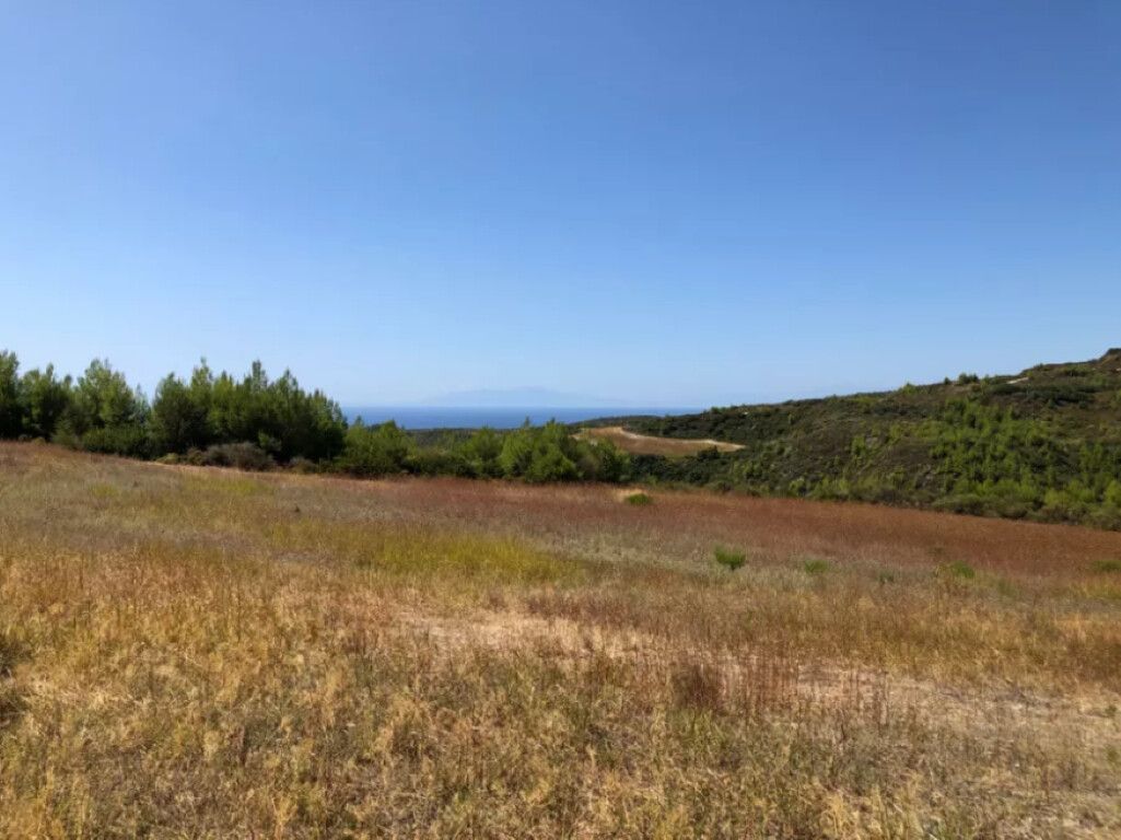 Land in Kassandra, Greece, 22 902 sq.m - picture 1