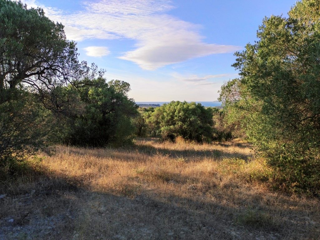 Land in Kassandra, Greece, 5 500 sq.m - picture 1