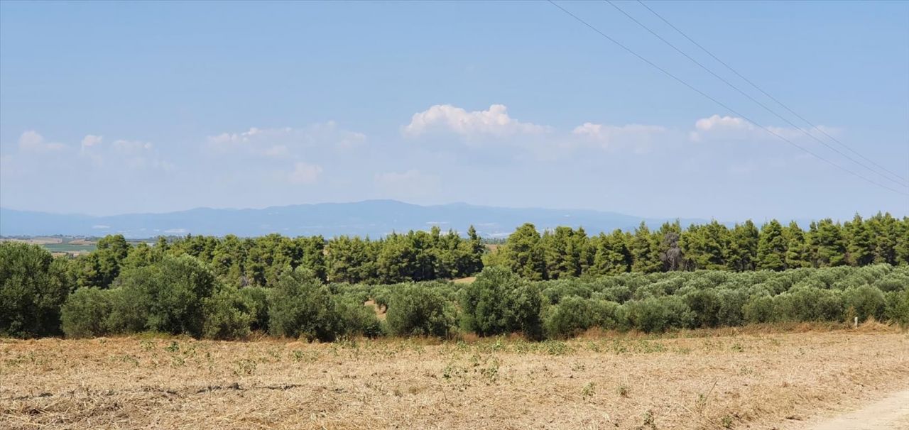 Land in Sani, Greece, 30 000 sq.m - picture 1
