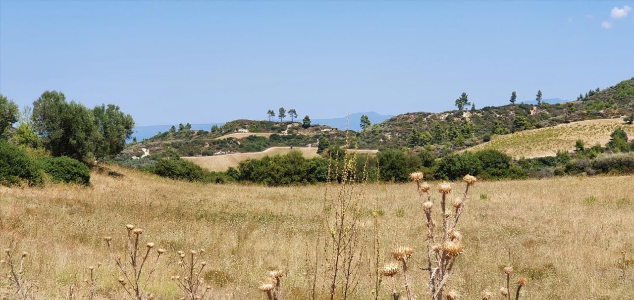 Land in Kassandra, Greece, 30 000 sq.m - picture 1