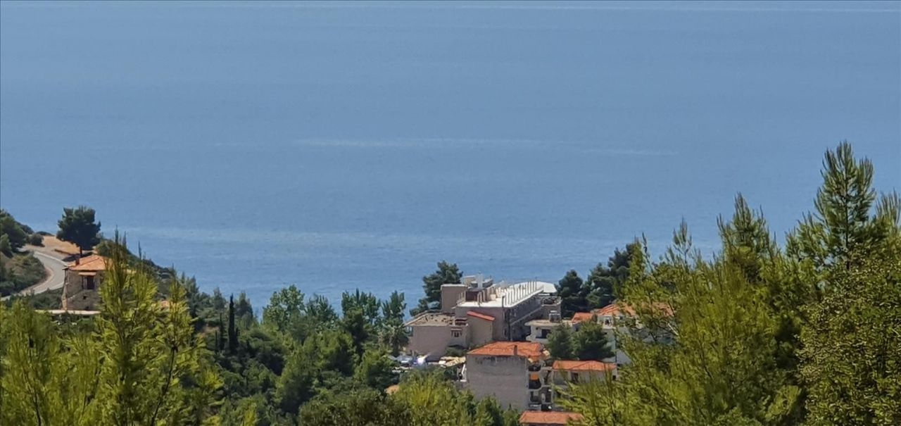 Land in Kassandra, Greece, 5 700 sq.m - picture 1