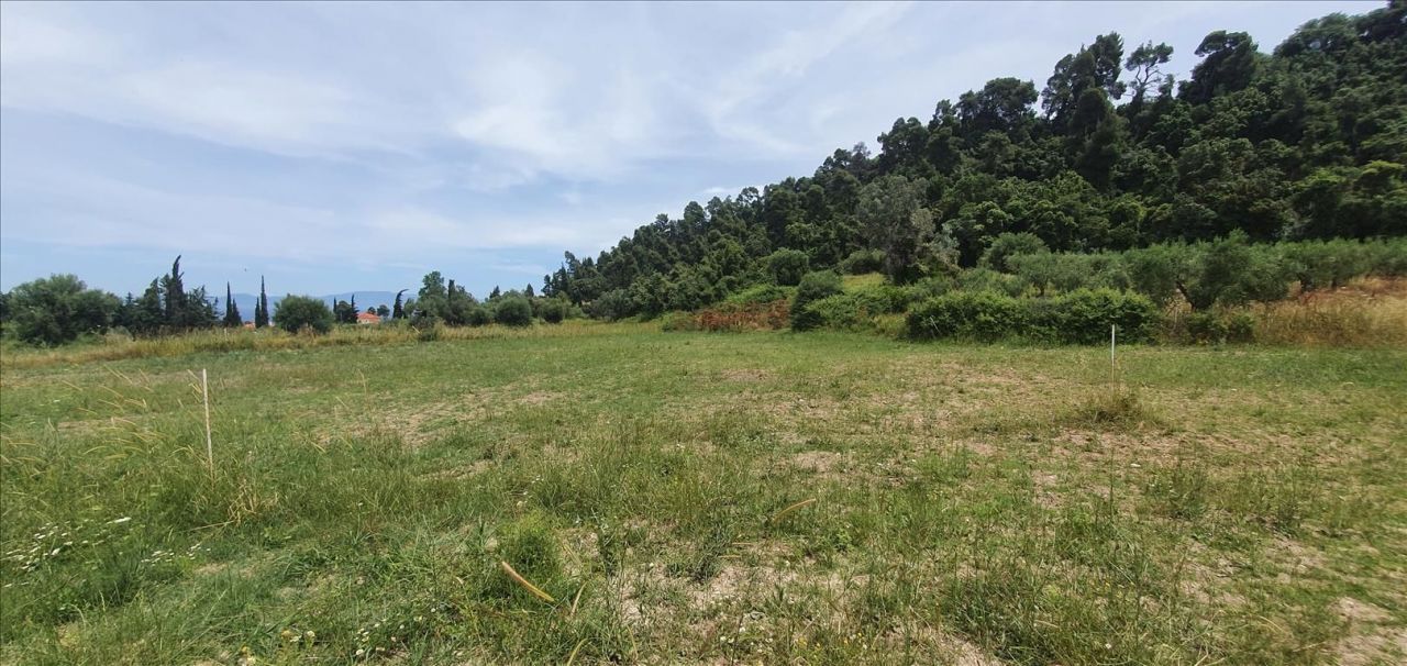 Land in Kassandra, Greece, 3 928 sq.m - picture 1