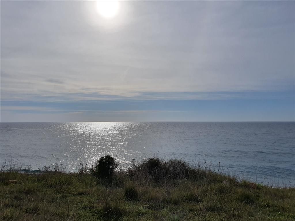 Land in Chalkidiki, Greece, 10 000 sq.m - picture 1