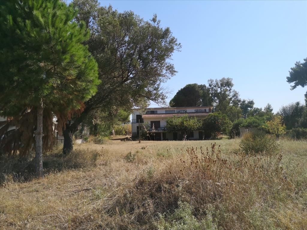 Land in Kassandra, Greece, 3 650 sq.m - picture 1