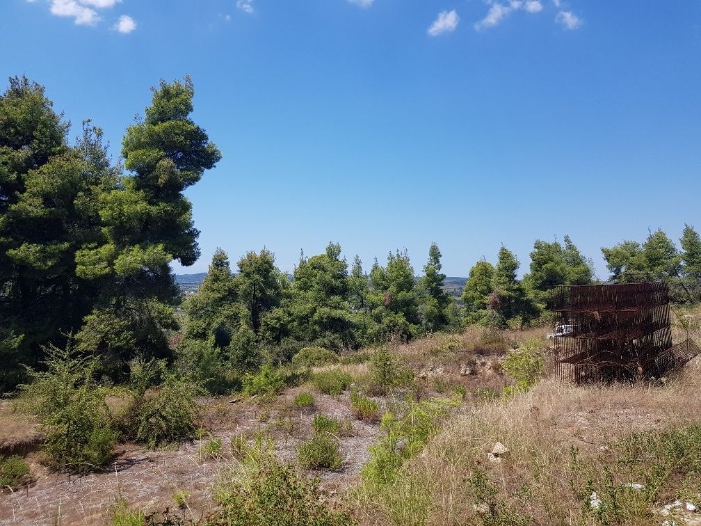 Land in Kassandra, Greece, 11 000 sq.m - picture 1