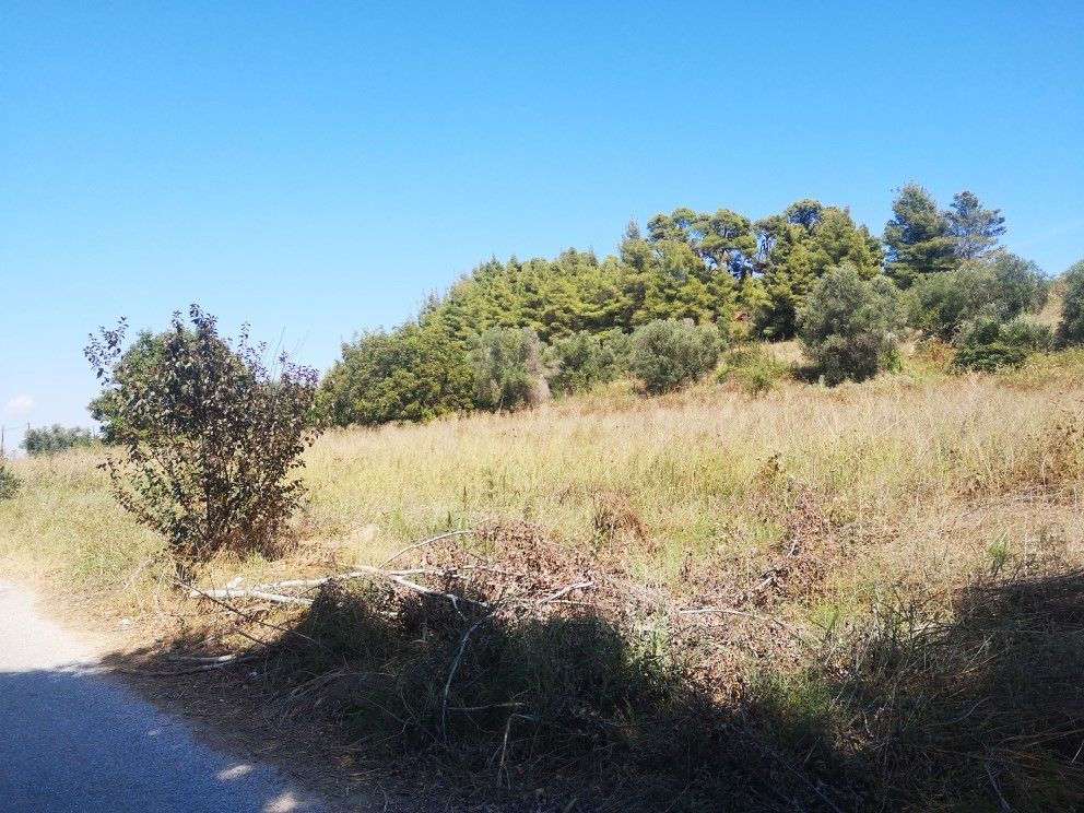 Land in Kassandra, Greece, 3 700 sq.m - picture 1