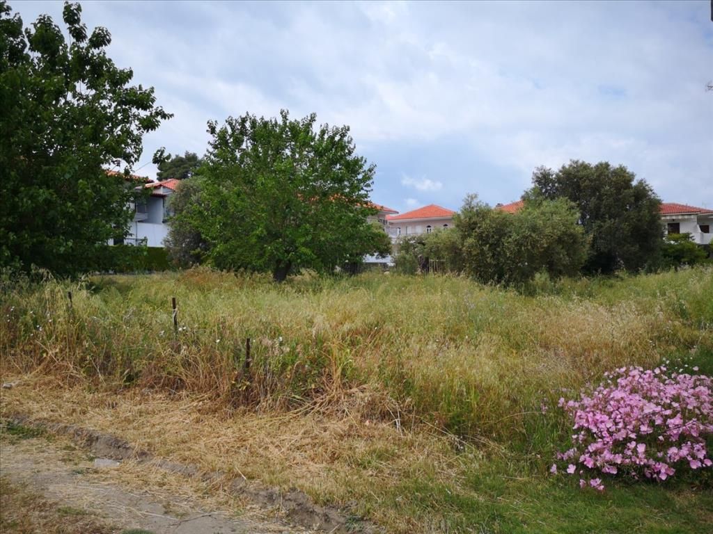 Land in Chalkidiki, Greece, 4 500 sq.m - picture 1